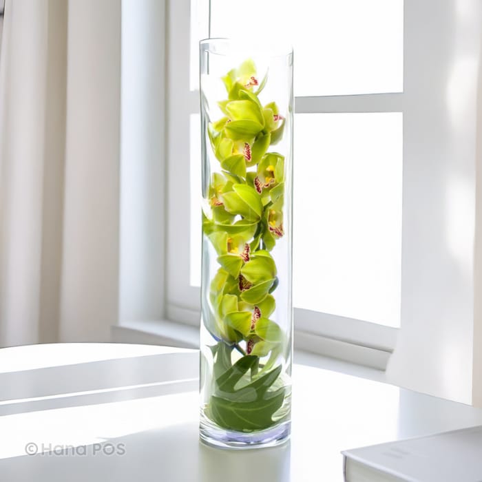 Zen Sensational Orchids