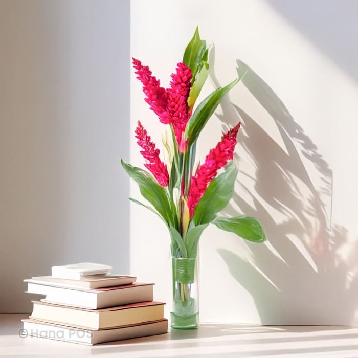 Brilliant Red Ginger