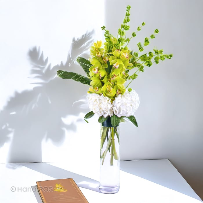 Gorgeous Cymbidium Orchids  