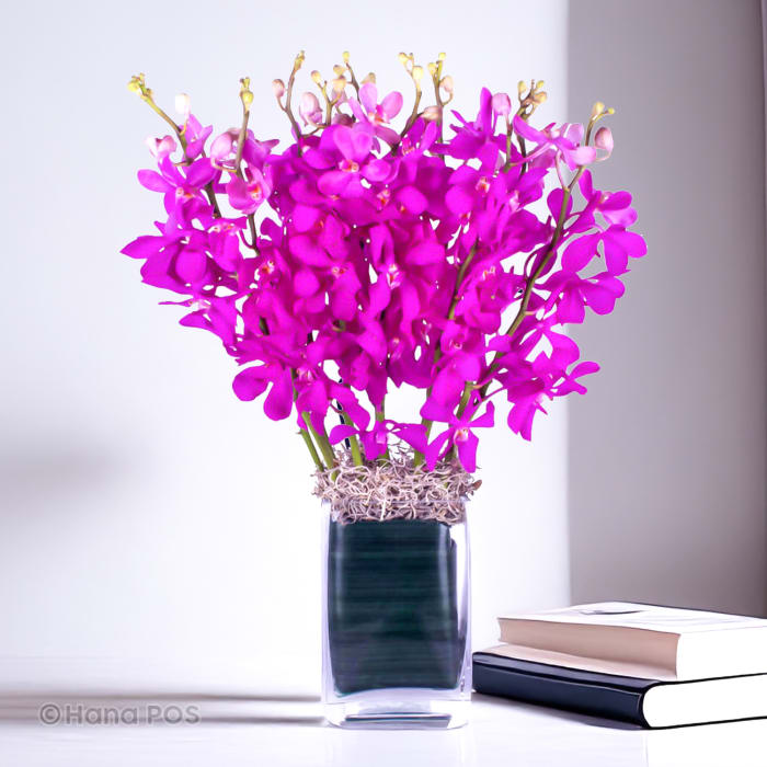 Purple Mokara Orchids