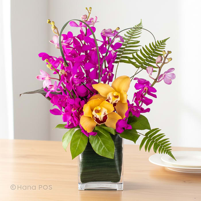 Dancing Mokara Orchids