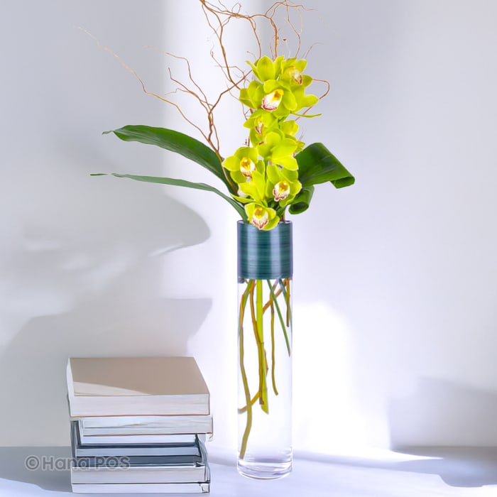 Jade Cymbidium Arrangement 