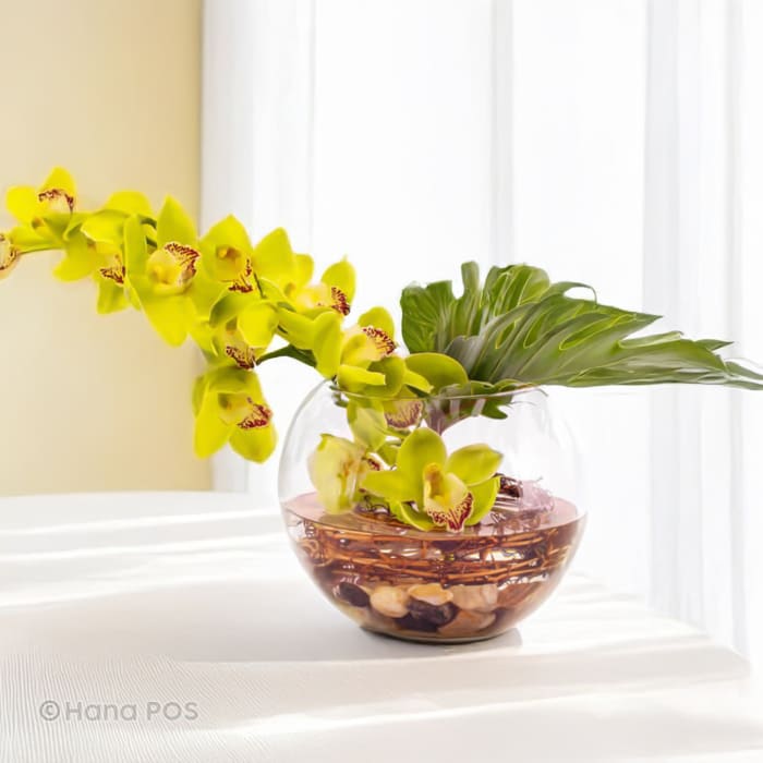 Jade Cymbidium Orchid Arrangement