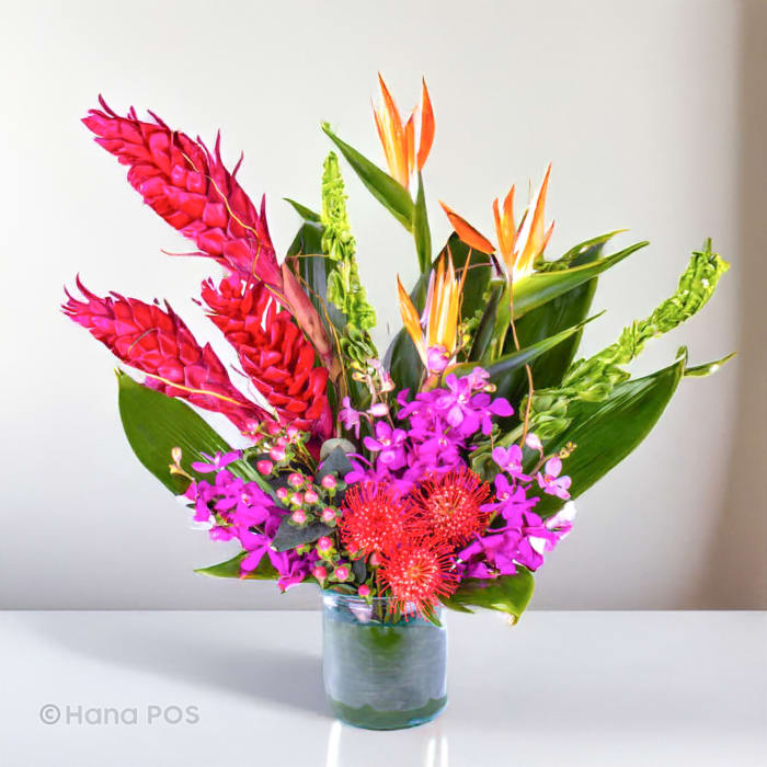 Tropical Hues