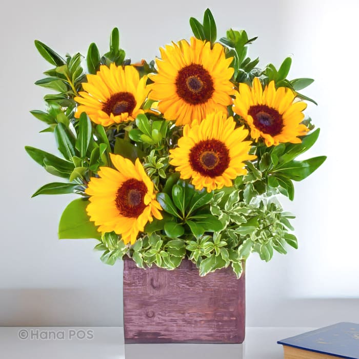 Fields of Sunflowers!