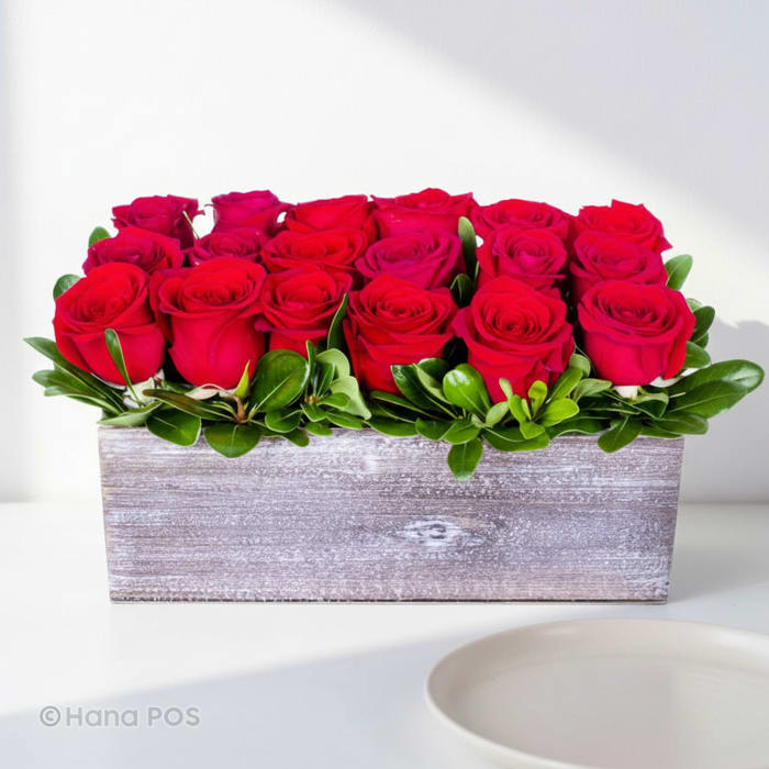 Timeless Elegance of Red roses