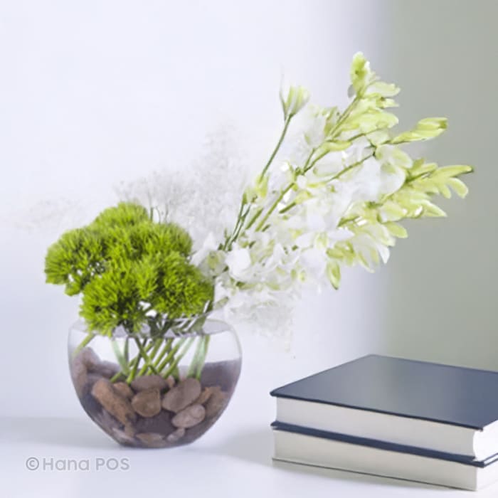 White Dendrobium Orchids