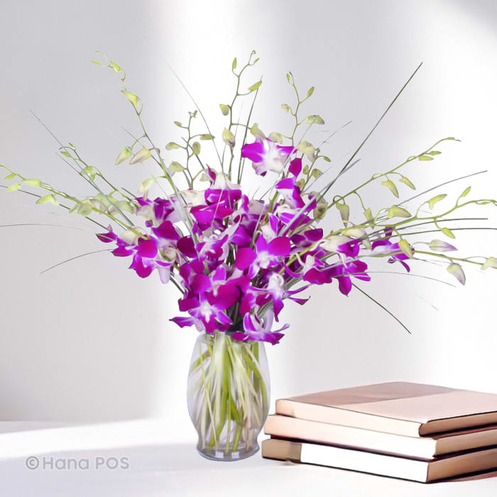 Exotic Orchids