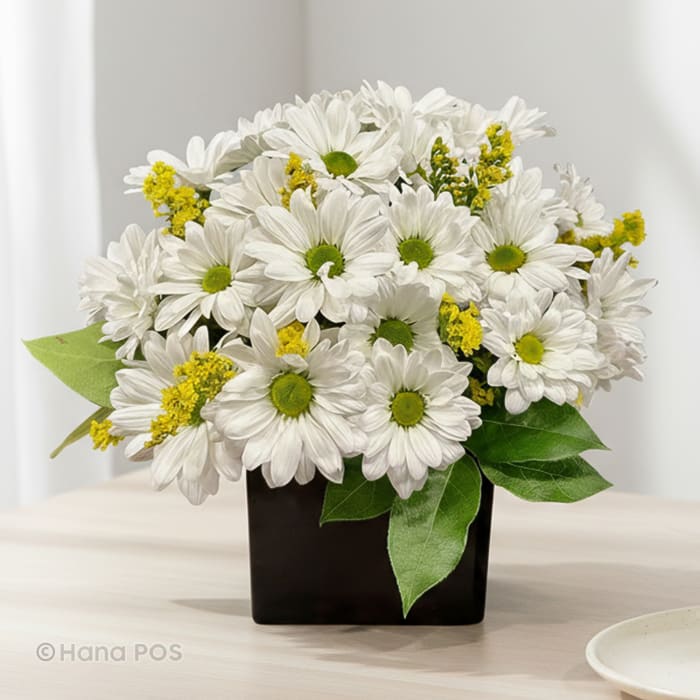 Simply Daisies