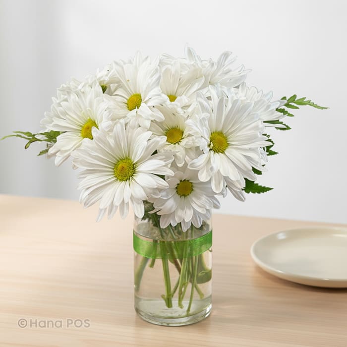 Daisy's Hello