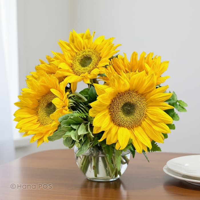 Sunshine Bowl