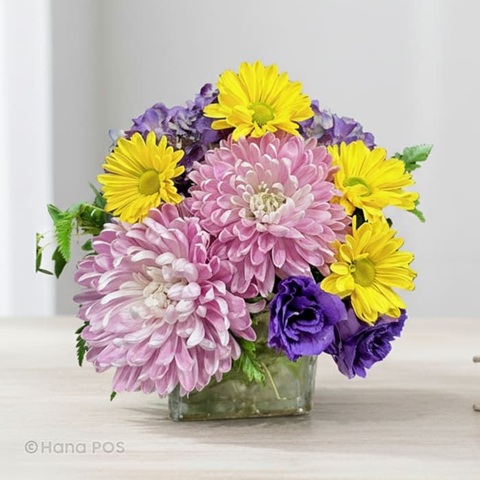 Cheerful Hello