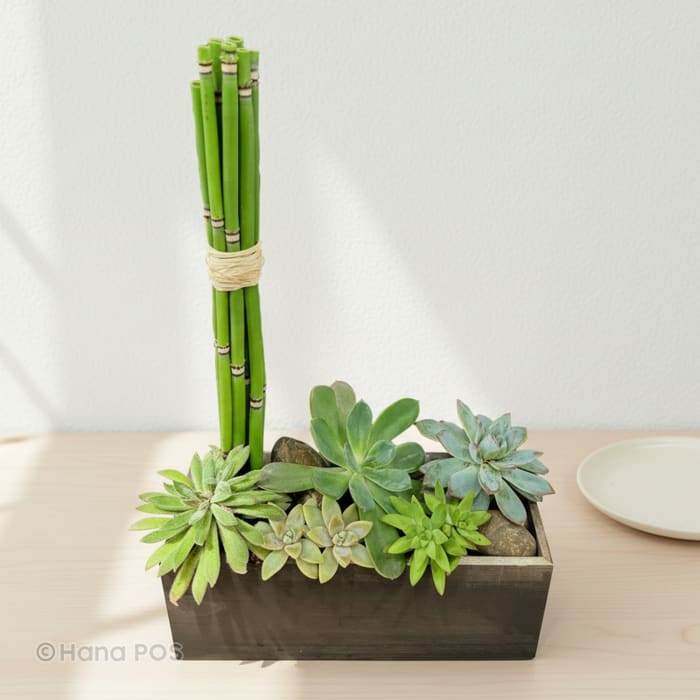 Zen Garden Box