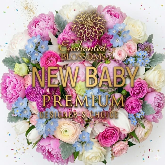 STYLISH NEW BABY PREMIUM DESIGNER'S CHOICE