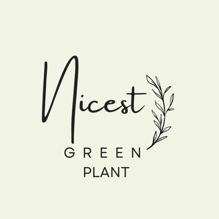 Nicest Green Plant