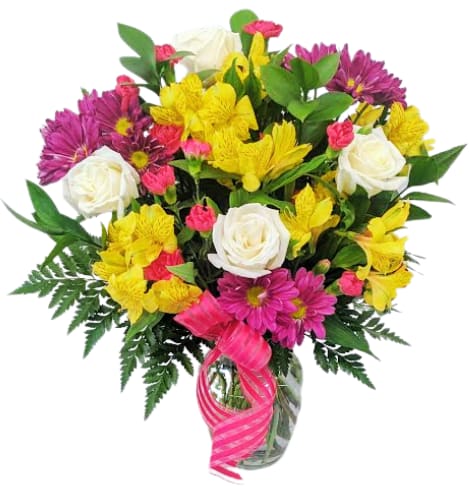 Ivory Sunrise V-1510