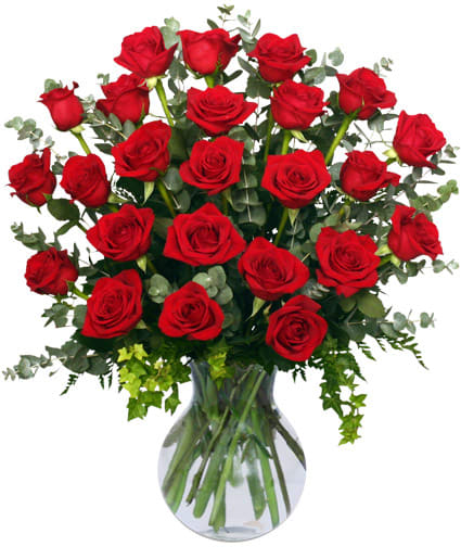 24 RADIANT ROSES
RED ROSES ARRANGEMENT