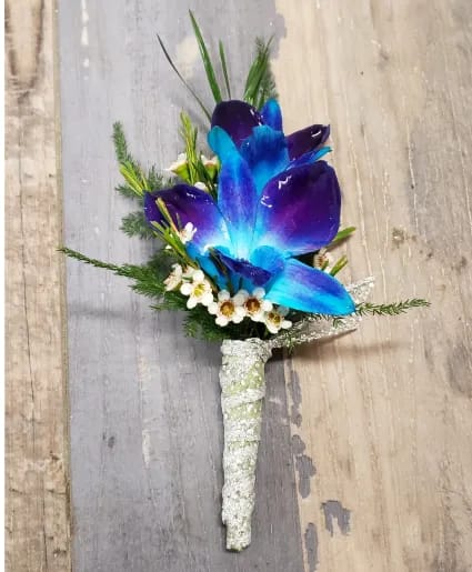 BLUE BOMB ORCHID