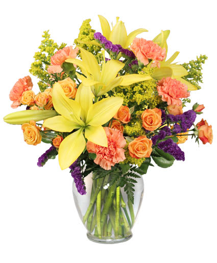 BURSTING WITH GLEE!
ARRANGEMENT