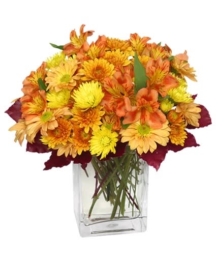 AMBER WAVES
ARRANGEMENT