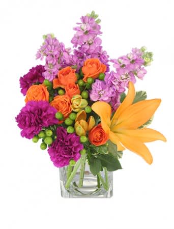 JUBILATION!
BOUQUET