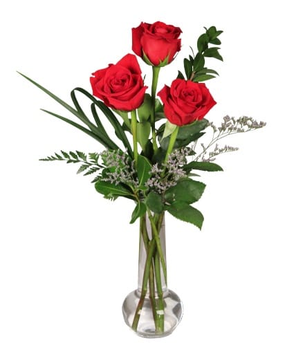 RED ROSE BUD VASE
3 PREMIUM ROSES