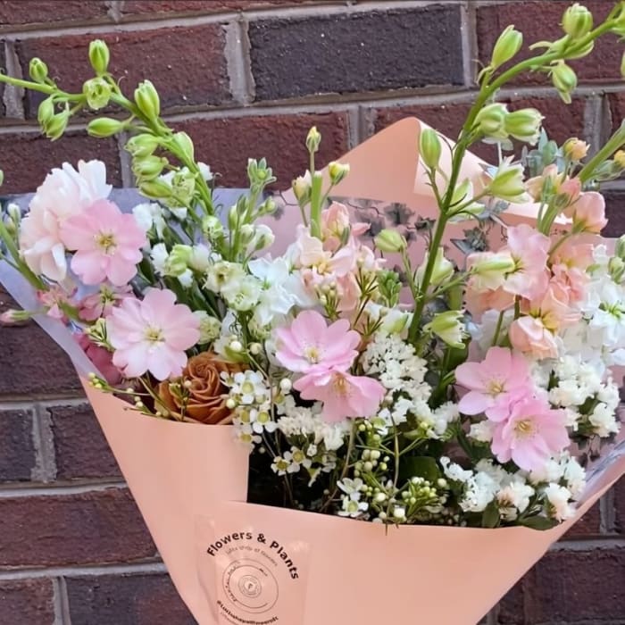 Cherry Blossom Garden