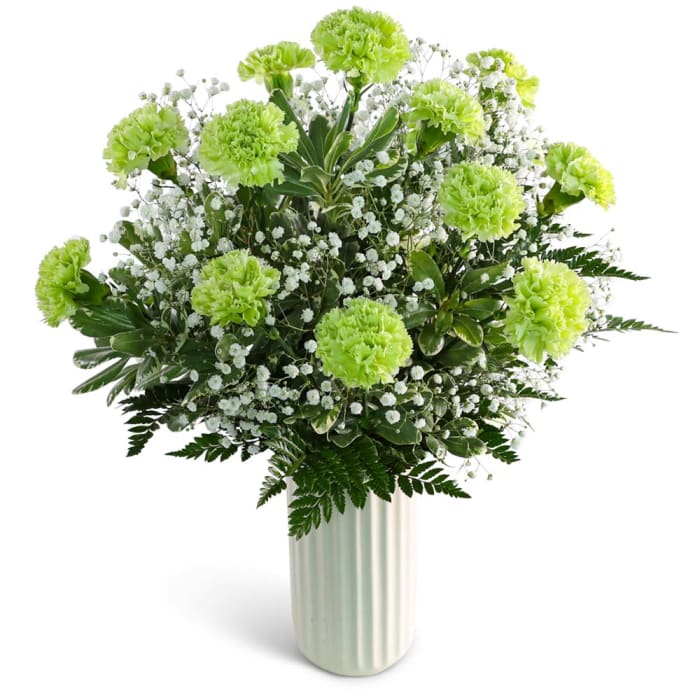One Dozen Starry Green Carnations