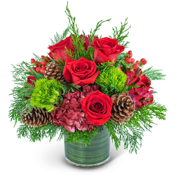 Festive Cranberry