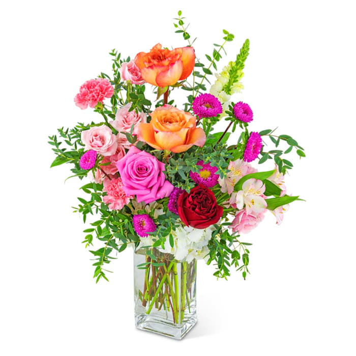Dreaming of Roses