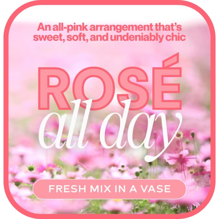 All Pink - Designer's Choice