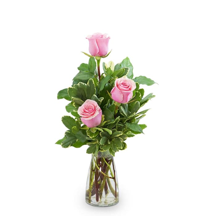 Pink Roses (3)