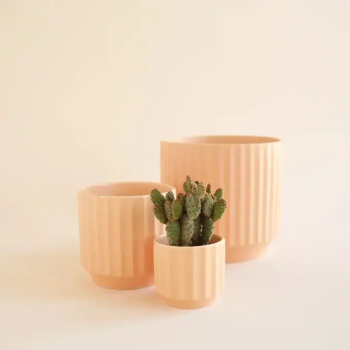 Monroe Planter | Sunset