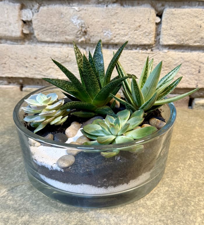 Round Glass Succulent Garden
