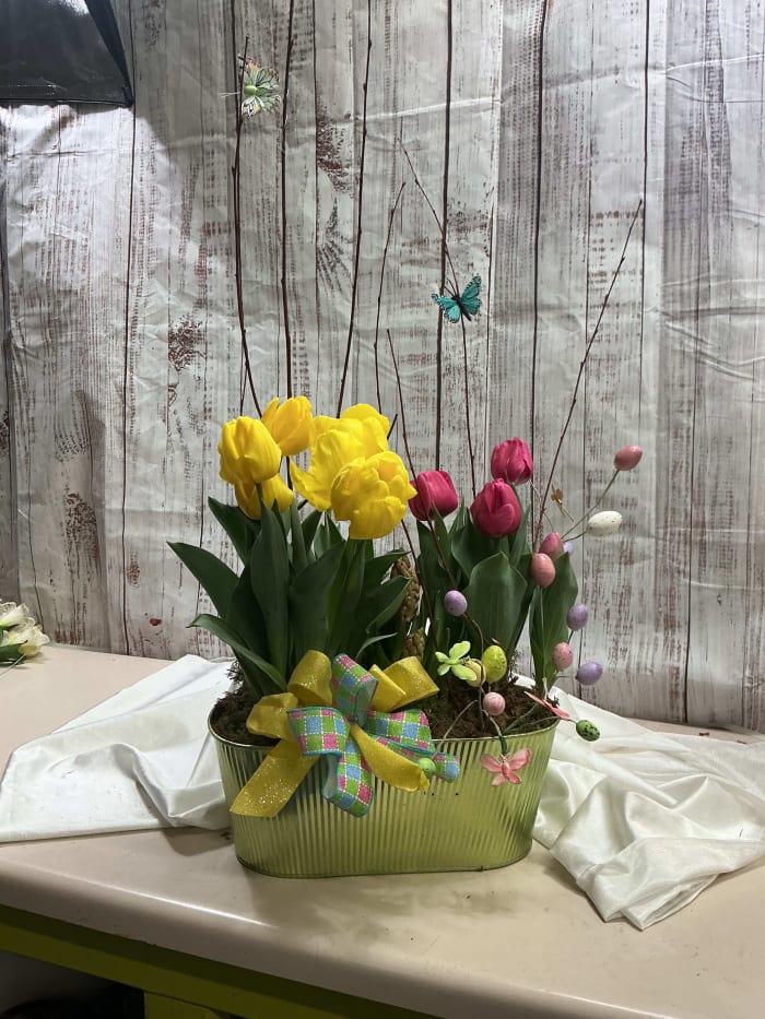 Blooming Spring Garden