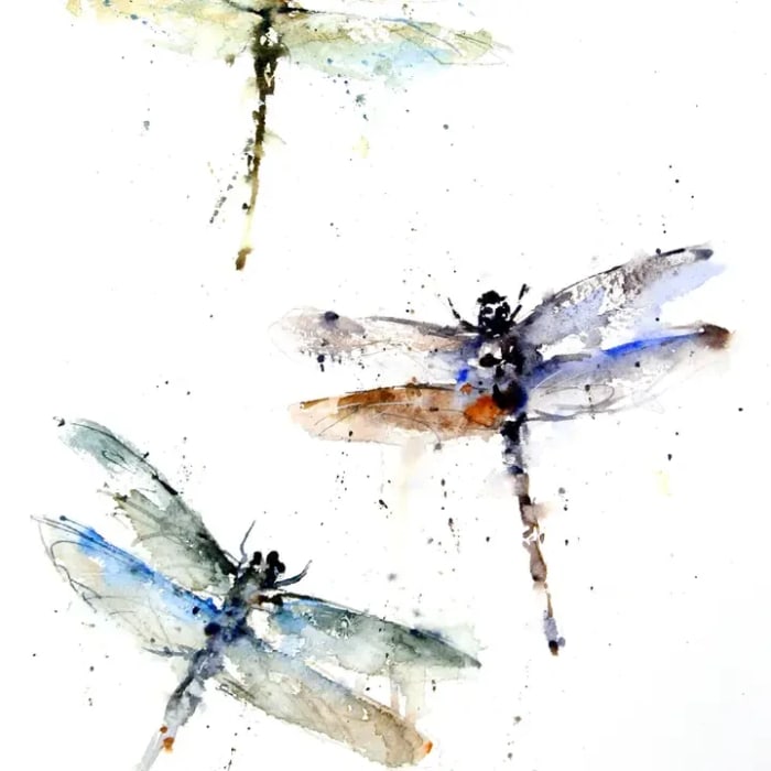 Dragonflies
