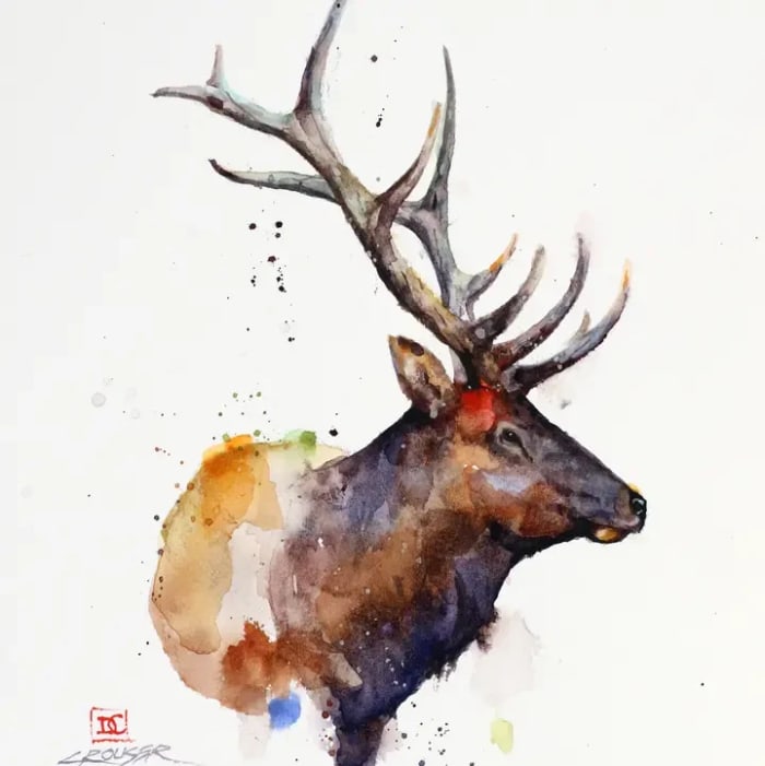 Elk