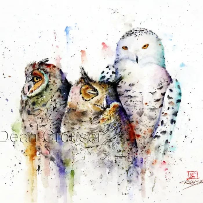 Owl Trio