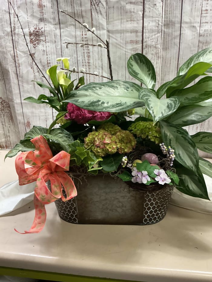 Large Blooming Garden