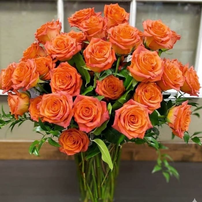 Show Stopper Roses