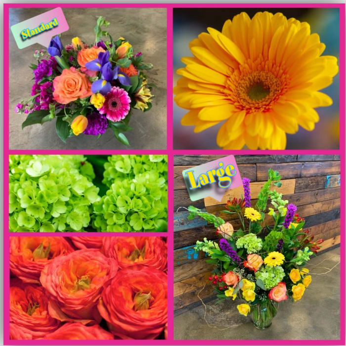 Hey Mama Designer's Choice