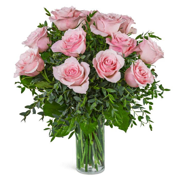 One Dozen Perfectly Pink Roses