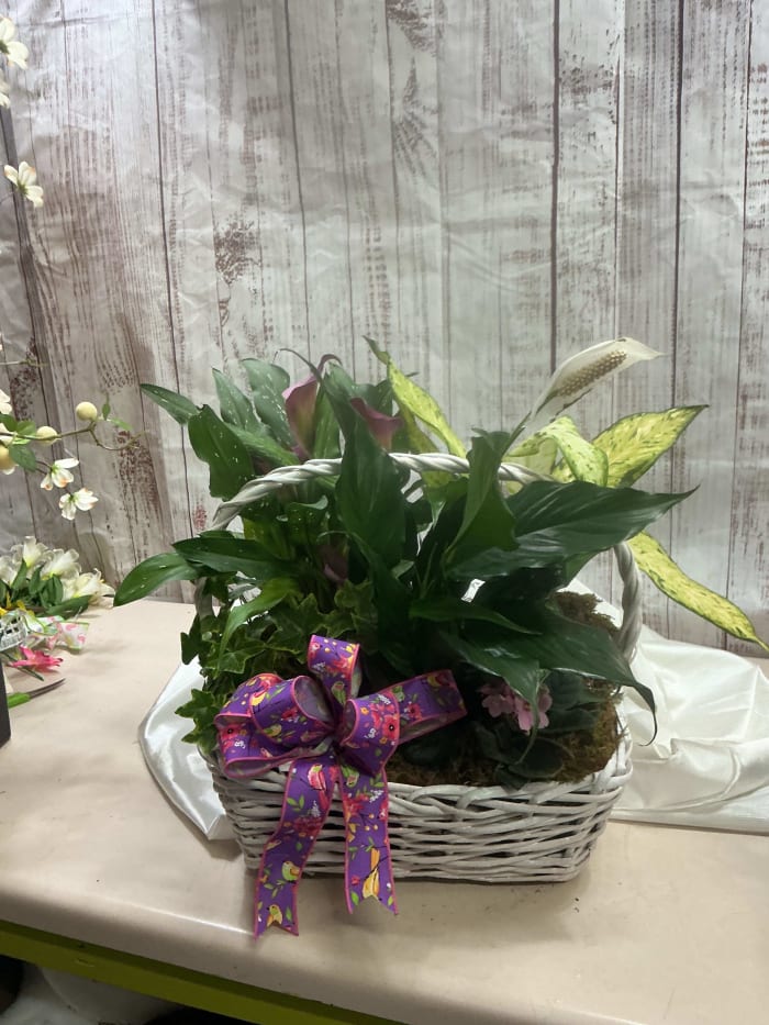 Blooming  Basket