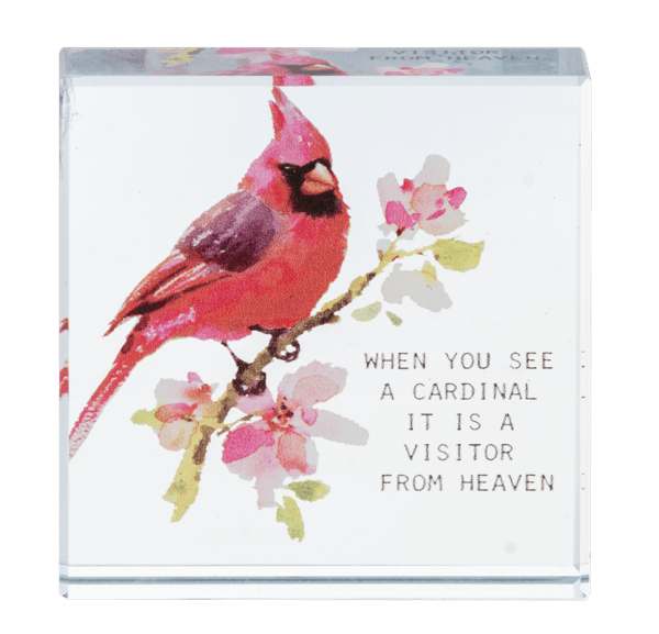Block Talk - When you see a cardinal it is a visitor from Heaven