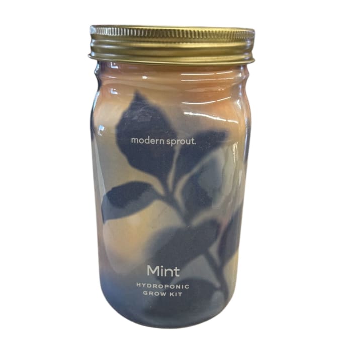 Mint Hydroponic Grow Jar