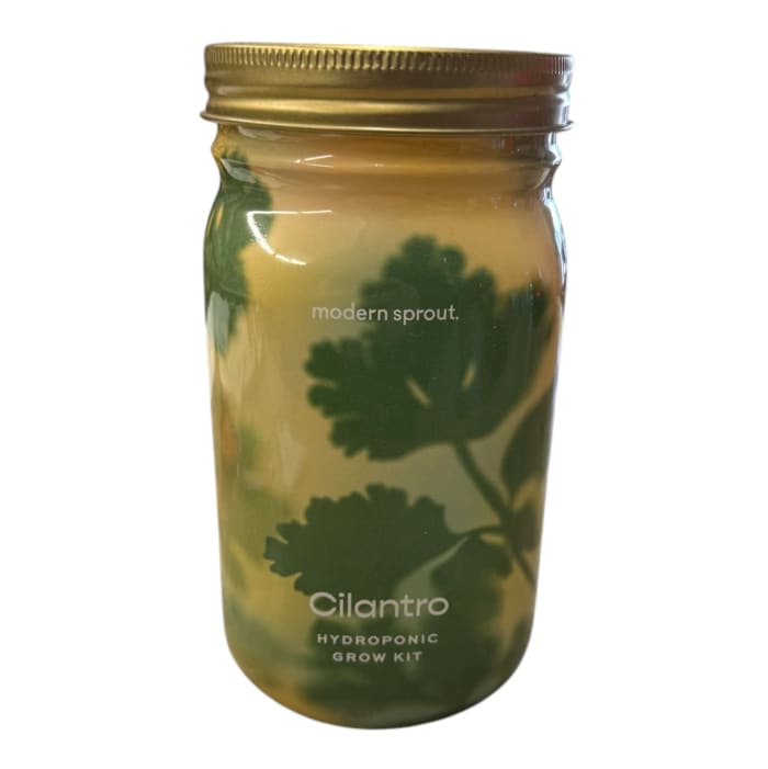 Cilantro Hydroponic Grow Kit