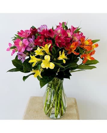 Vibrant Alstroemeria Vase