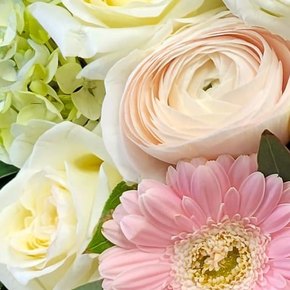 Designers Choice Mixed Arrangement (Bright Tone)