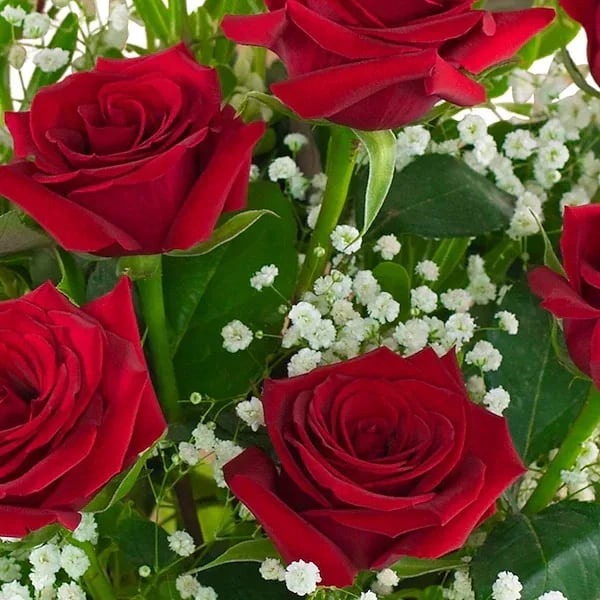 Red Rose Hand-tied Bouquet