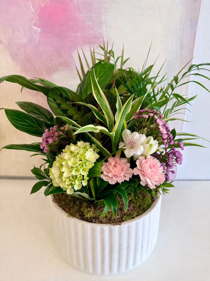 Botanical Bliss Dish Garden